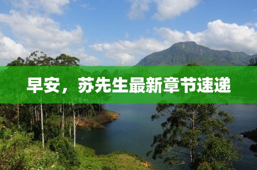 早安，苏先生最新章节速递
