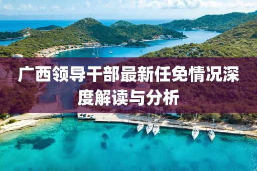 广西领导干部最新任免情况深度解读与分析
