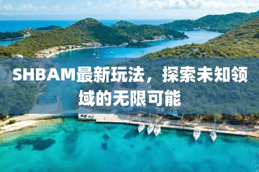 SHBAM最新玩法，探索未知领域的无限可能