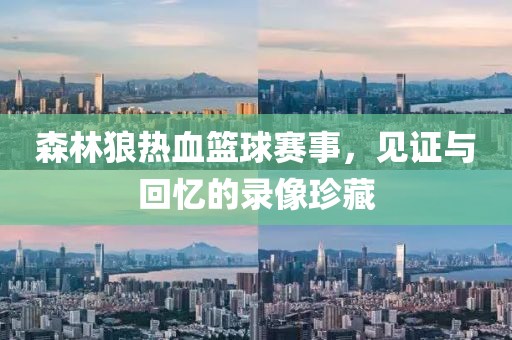 森林狼热血篮球赛事，见证与回忆的录像珍藏