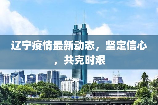 辽宁疫情最新动态，坚定信心，共克时艰