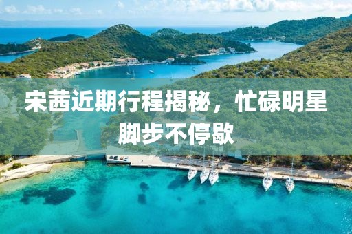 宋茜近期行程揭秘，忙碌明星脚步不停歇