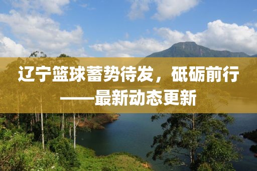 辽宁篮球蓄势待发，砥砺前行——最新动态更新