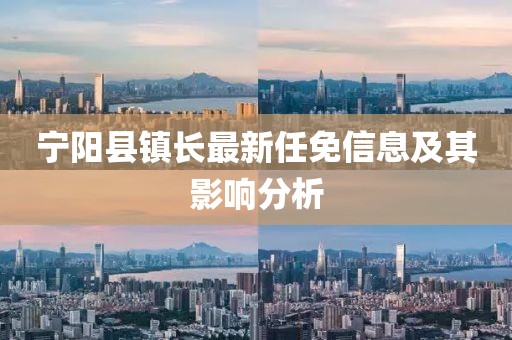 宁阳县镇长最新任免信息及其影响分析
