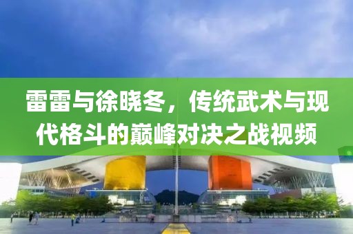 雷雷与徐晓冬，传统武术与现代格斗的巅峰对决之战视频