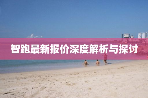 智跑最新报价深度解析与探讨
