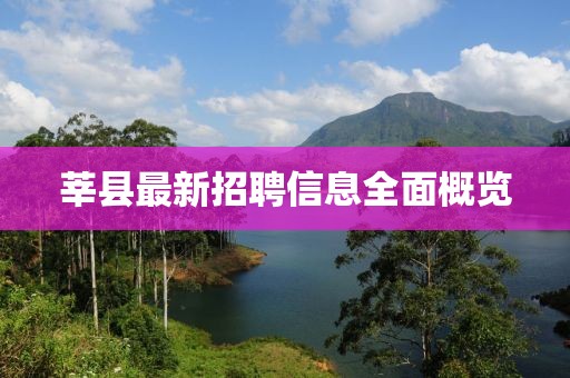 莘县最新招聘信息全面概览