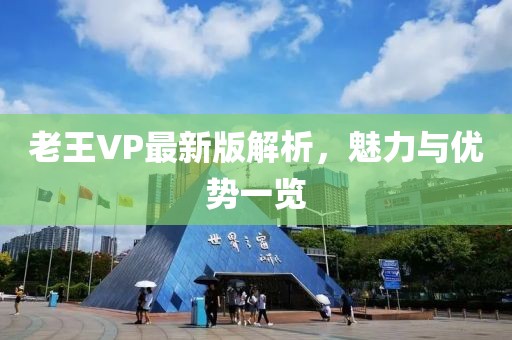 老王VP最新版解析，魅力与优势一览