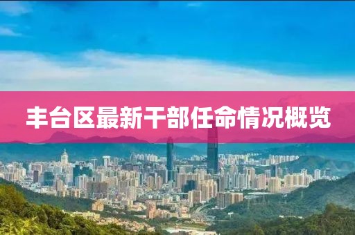 丰台区最新干部任命情况概览