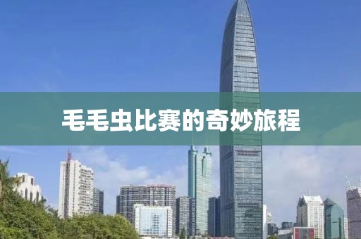 毛毛虫比赛的奇妙旅程