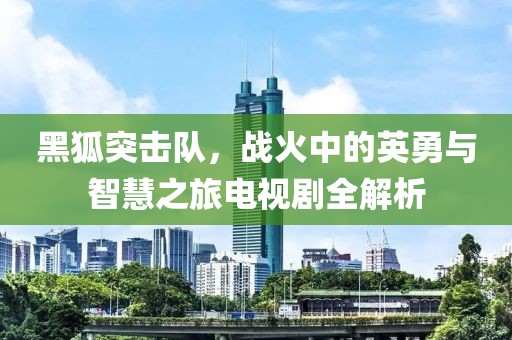 黑狐突击队，战火中的英勇与智慧之旅电视剧全解析