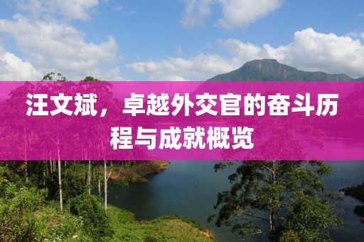 汪文斌，卓越外交官的奋斗历程与成就概览