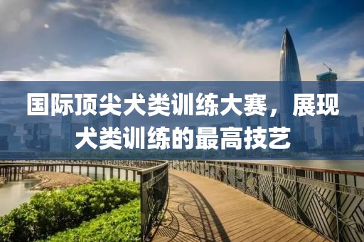 国际顶尖犬类训练大赛，展现犬类训练的最高技艺