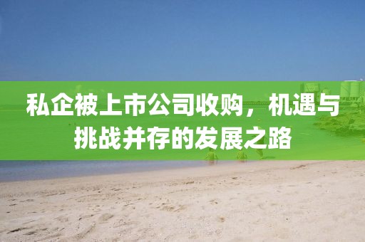 私企被上市公司收购，机遇与挑战并存的发展之路