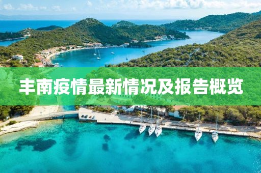 丰南疫情最新情况及报告概览