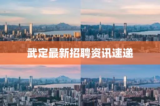 武定最新招聘资讯速递