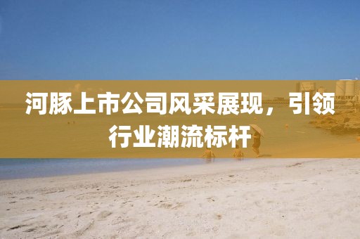 河豚上市公司风采展现，引领行业潮流标杆
