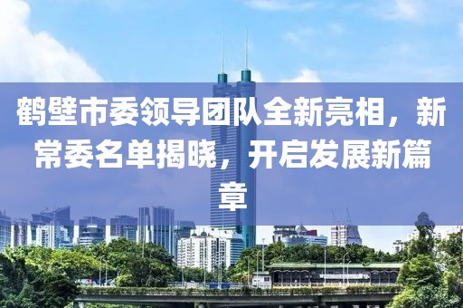 鹤壁市委领导团队全新亮相，新常委名单揭晓，开启发展新篇章