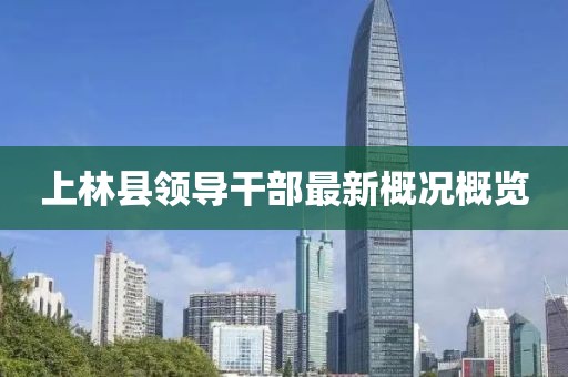 上林县领导干部最新概况概览