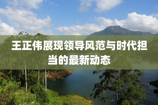 王正伟展现领导风范与时代担当的最新动态