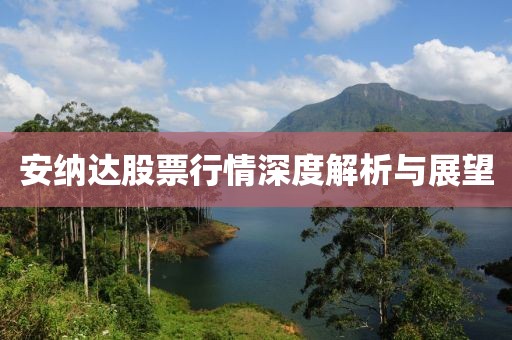 安纳达股票行情深度解析与展望