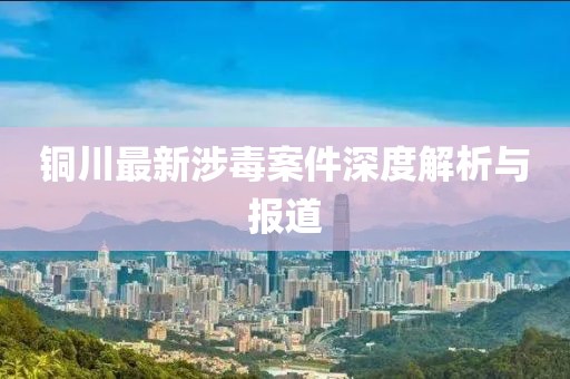 铜川最新涉毒案件深度解析与报道