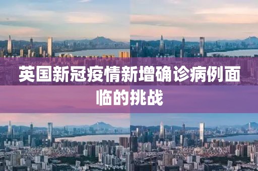 英国新冠疫情新增确诊病例面临的挑战
