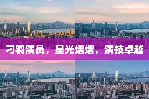 刁羽演员，星光熠熠，演技卓越