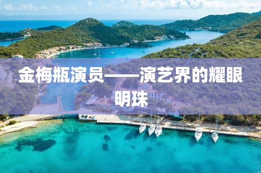金梅瓶演员——演艺界的耀眼明珠