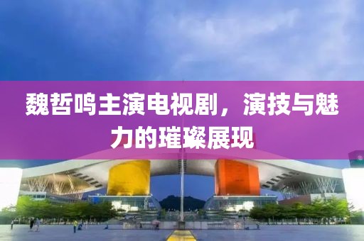 魏哲鸣主演电视剧，演技与魅力的璀璨展现