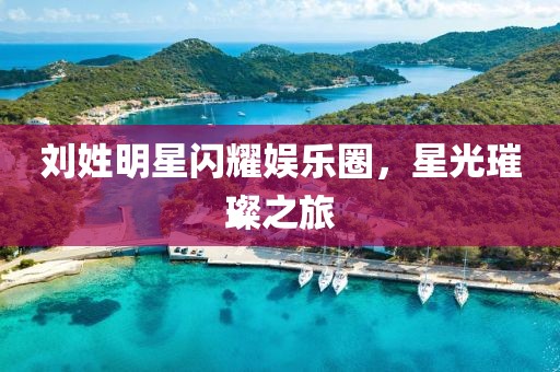 刘姓明星闪耀娱乐圈，星光璀璨之旅