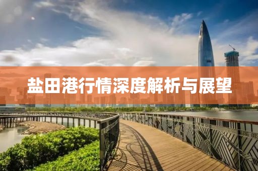 盐田港行情深度解析与展望