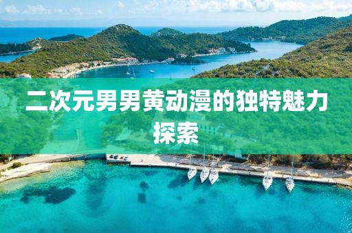二次元男男黄动漫的独特魅力探索