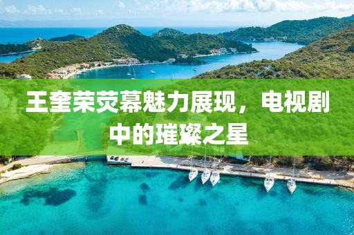 王奎荣荧幕魅力展现，电视剧中的璀璨之星