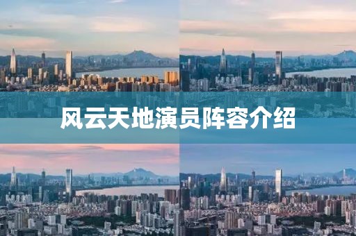 风云天地演员阵容介绍