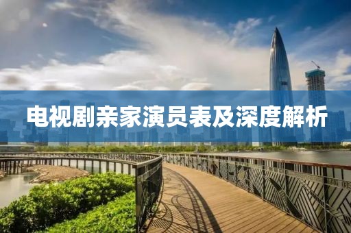 电视剧亲家演员表及深度解析