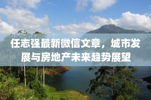 任志强最新微信文章，城市发展与房地产未来趋势展望