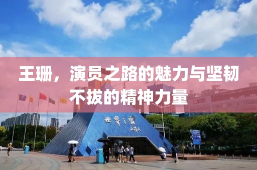 王珊，演员之路的魅力与坚韧不拔的精神力量