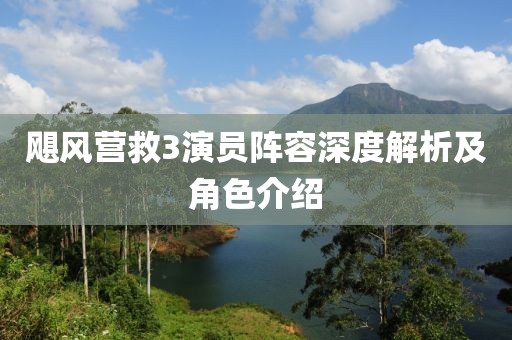 飓风营救3演员阵容深度解析及角色介绍