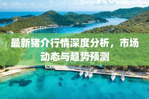 最新猪介行情深度分析，市场动态与趋势预测