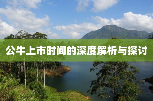 公牛上市时间的深度解析与探讨