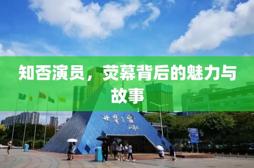 知否演员，荧幕背后的魅力与故事