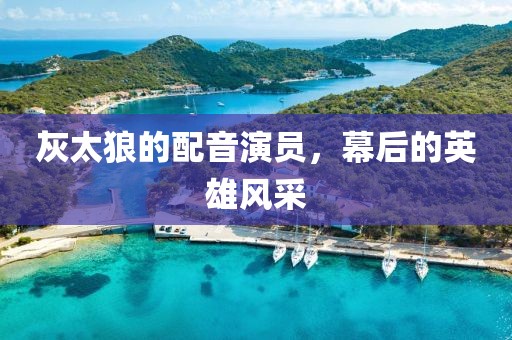 灰太狼的配音演员，幕后的英雄风采