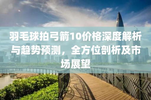 羽毛球拍弓箭10价格深度解析与趋势预测，全方位剖析及市场展望