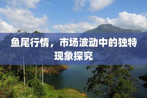 鱼尾行情，市场波动中的独特现象探究