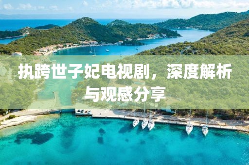 执跨世子妃电视剧，深度解析与观感分享