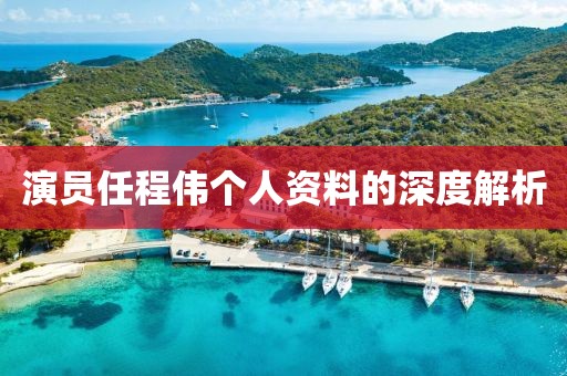 演员任程伟个人资料的深度解析