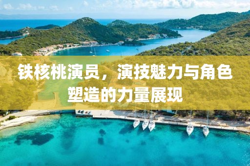 铁核桃演员，演技魅力与角色塑造的力量展现