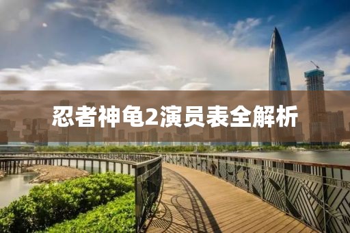 忍者神龟2演员表全解析