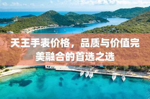 天王手表价格，品质与价值完美融合的首选之选